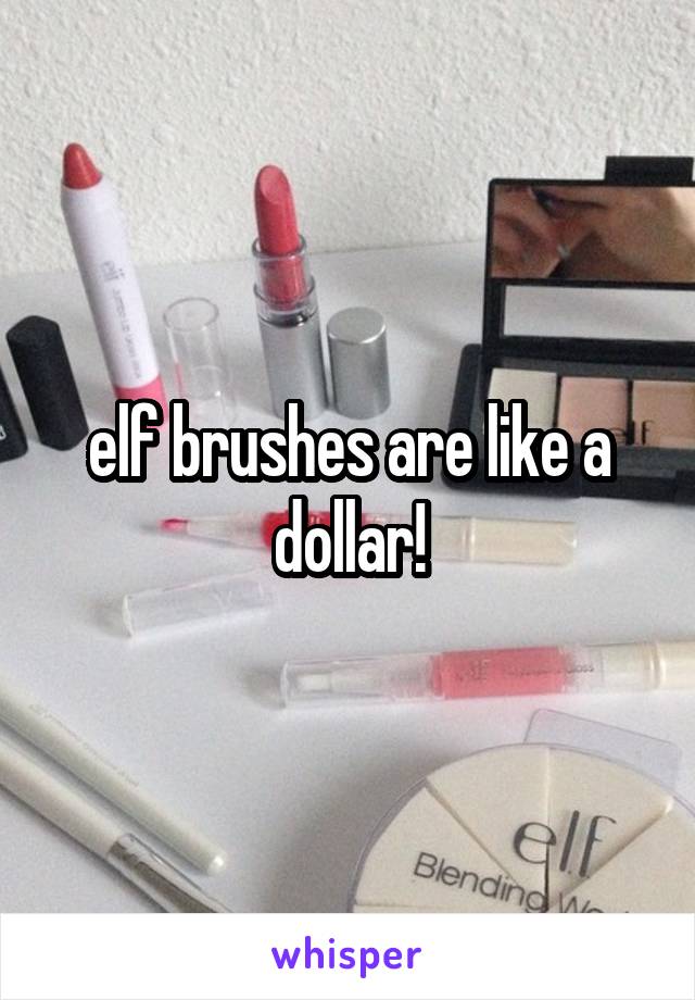 elf brushes are like a dollar!