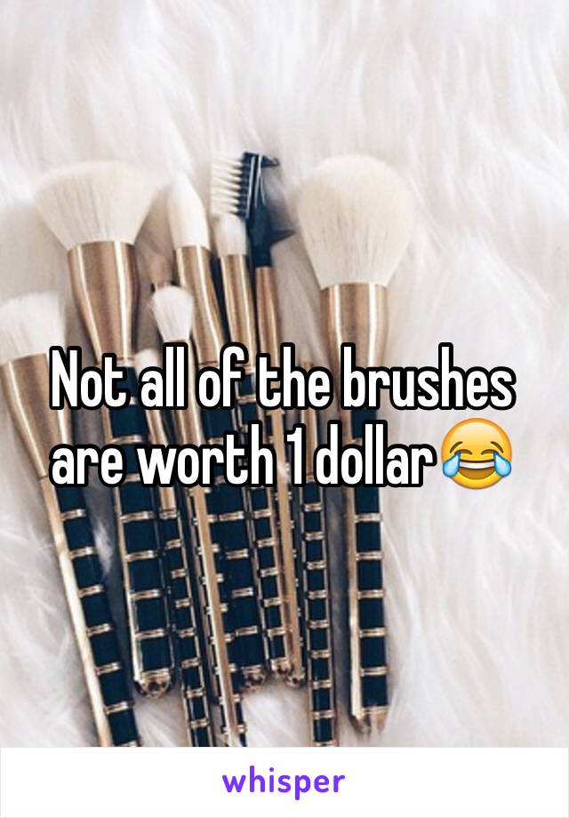 Not all of the brushes are worth 1 dollar😂