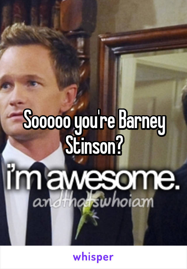 Sooooo you're Barney Stinson?