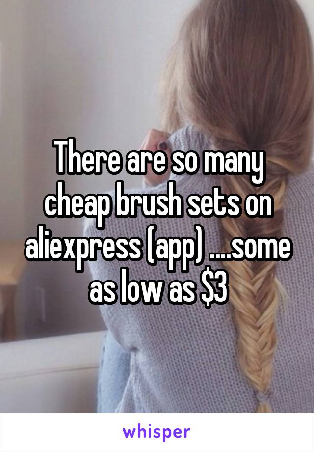 There are so many cheap brush sets on aliexpress (app) ....some as low as $3