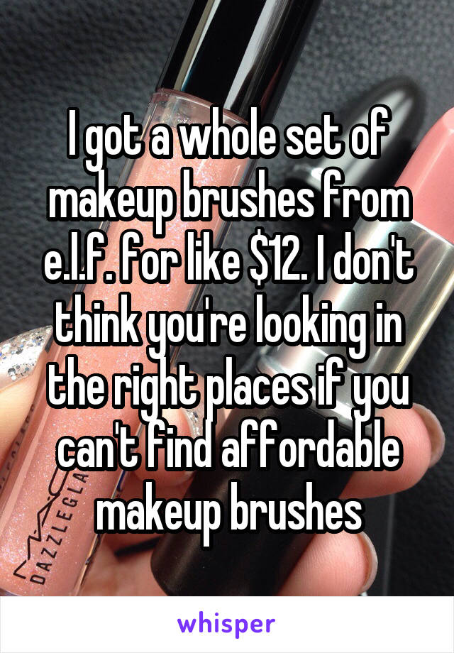 I got a whole set of makeup brushes from e.l.f. for like $12. I don't think you're looking in the right places if you can't find affordable makeup brushes