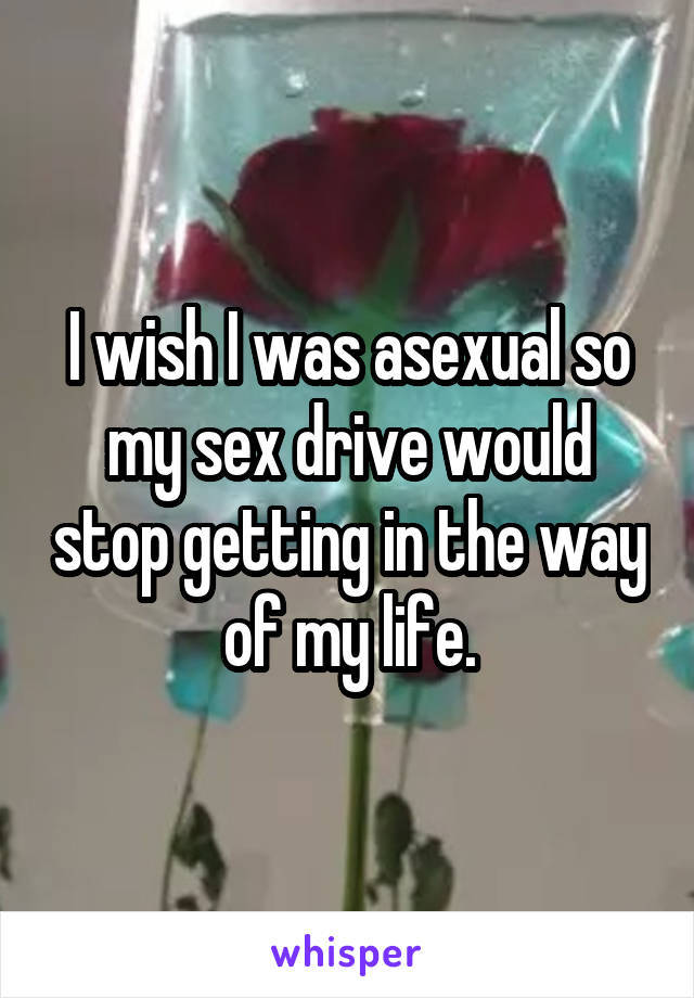 I wish I was asexual so my sex drive would stop getting in the way of my life.
