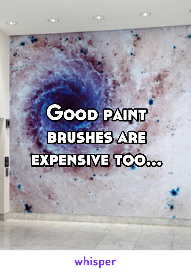 Good paint brushes are expensive too...