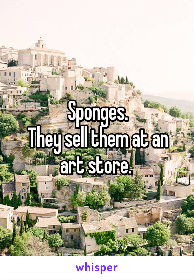 Sponges.
They sell them at an art store. 