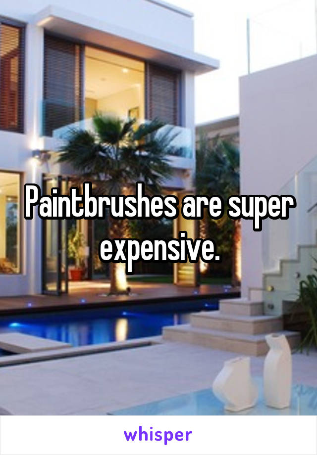 Paintbrushes are super expensive.
