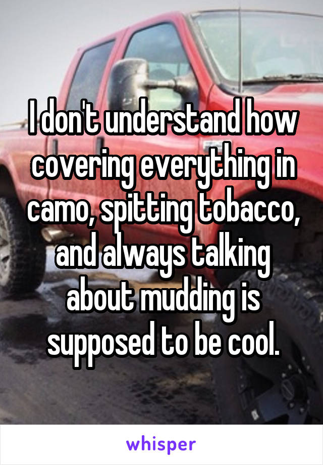 I don't understand how covering everything in camo, spitting tobacco, and always talking about mudding is supposed to be cool.