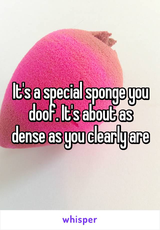 It's a special sponge you doof. It's about as dense as you clearly are