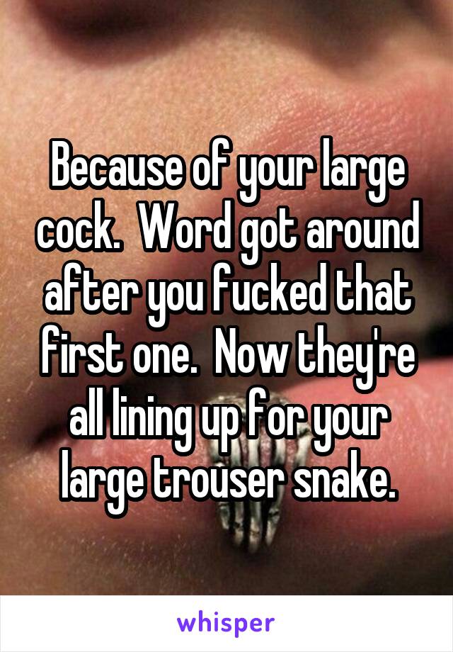 Because of your large cock.  Word got around after you fucked that first one.  Now they're all lining up for your large trouser snake.