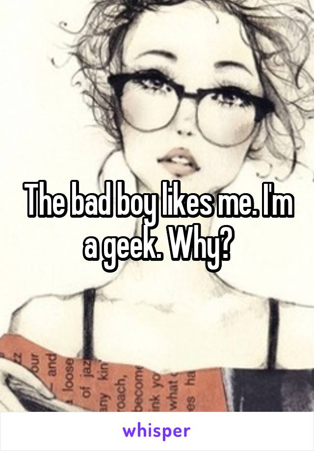 The bad boy likes me. I'm a geek. Why?