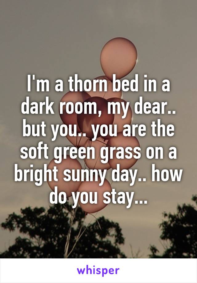 I'm a thorn bed in a dark room, my dear.. but you.. you are the soft green grass on a bright sunny day.. how do you stay...