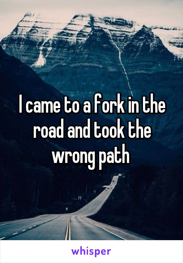 I came to a fork in the road and took the wrong path 