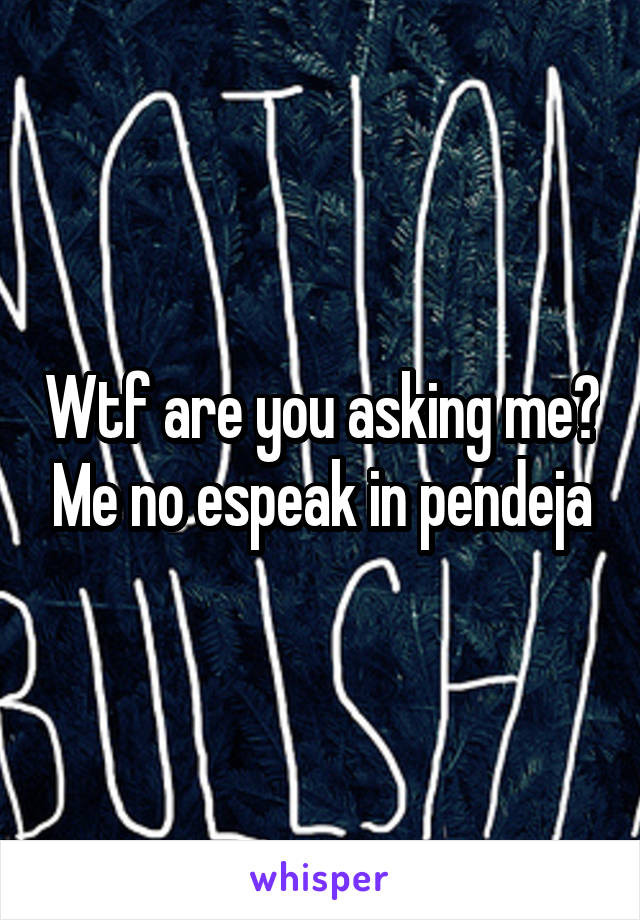 Wtf are you asking me? Me no espeak in pendeja