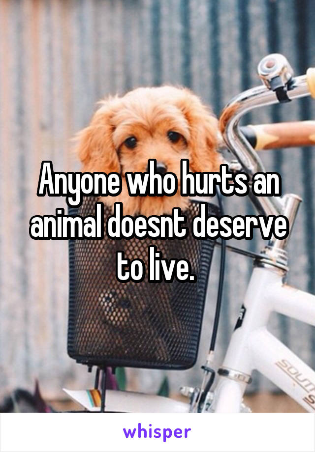 Anyone who hurts an animal doesnt deserve to live. 