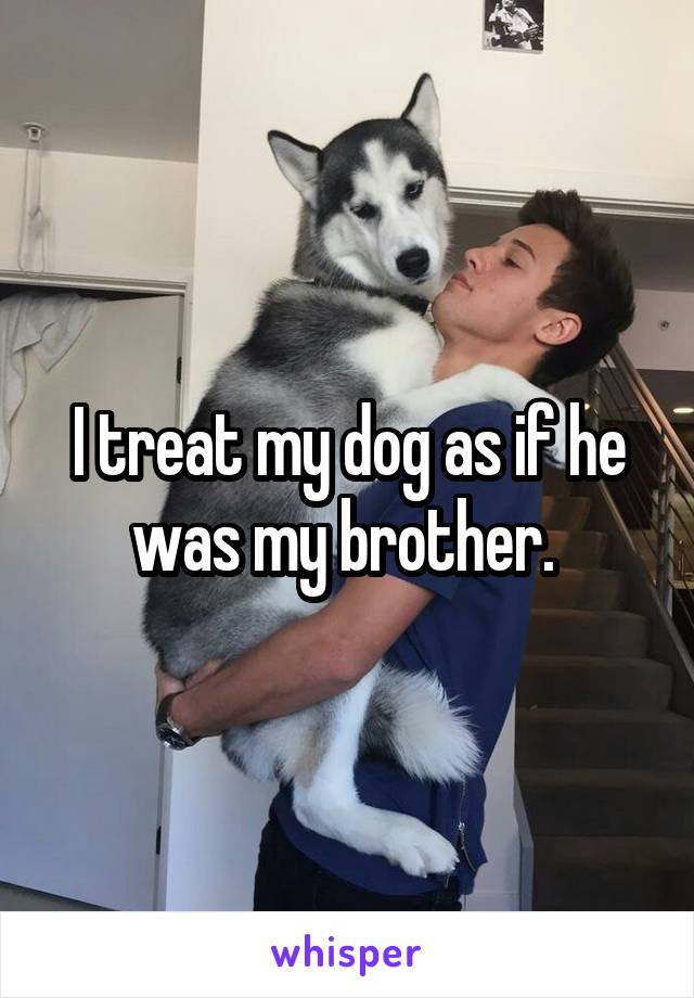 I treat my dog as if he was my brother. 