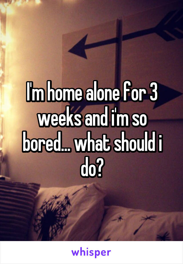 I'm home alone for 3 weeks and i'm so bored... what should i do?