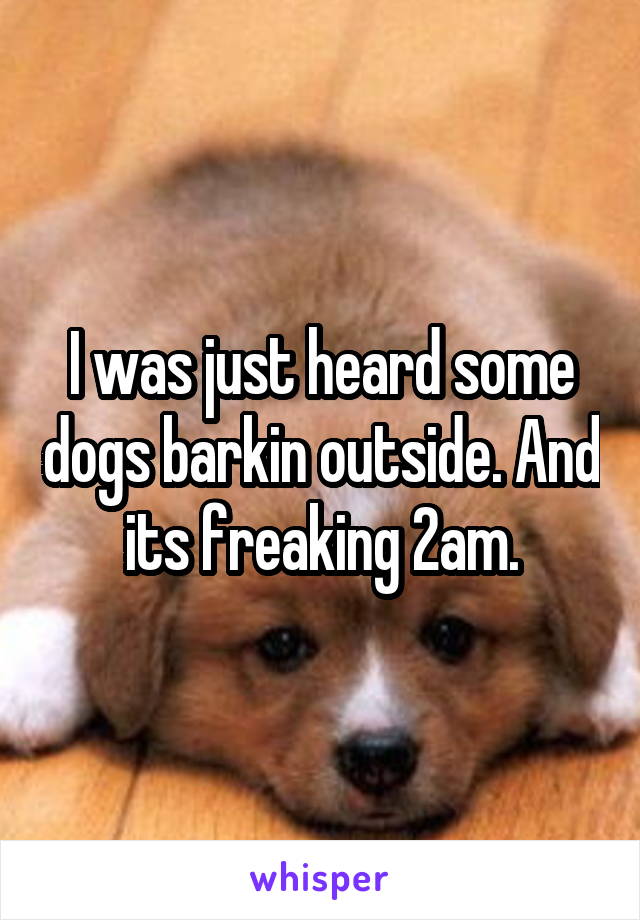 I was just heard some dogs barkin outside. And its freaking 2am.