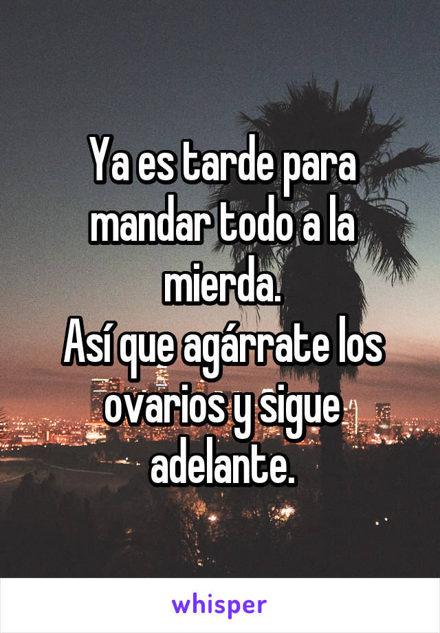 Ya es tarde para mandar todo a la mierda.
Así que agárrate los ovarios y sigue adelante.