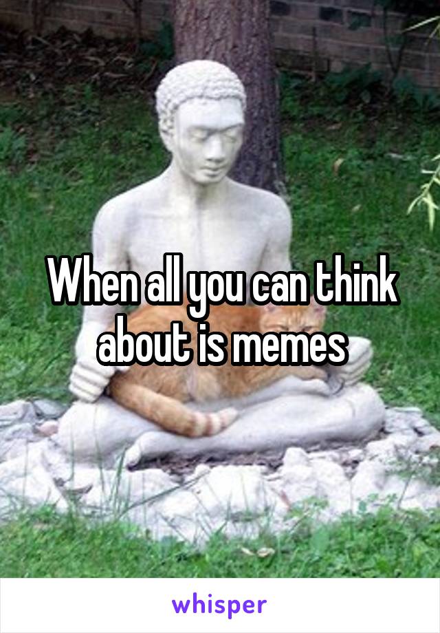 When all you can think about is memes