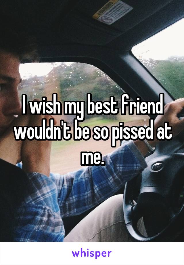 I wish my best friend wouldn't be so pissed at me.