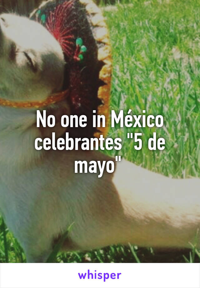 No one in México celebrantes "5 de mayo" 