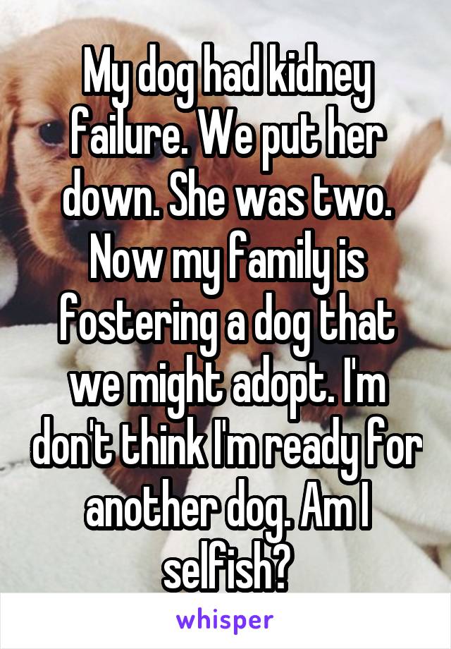 My dog had kidney failure. We put her down. She was two. Now my family is fostering a dog that we might adopt. I'm don't think I'm ready for another dog. Am I selfish?