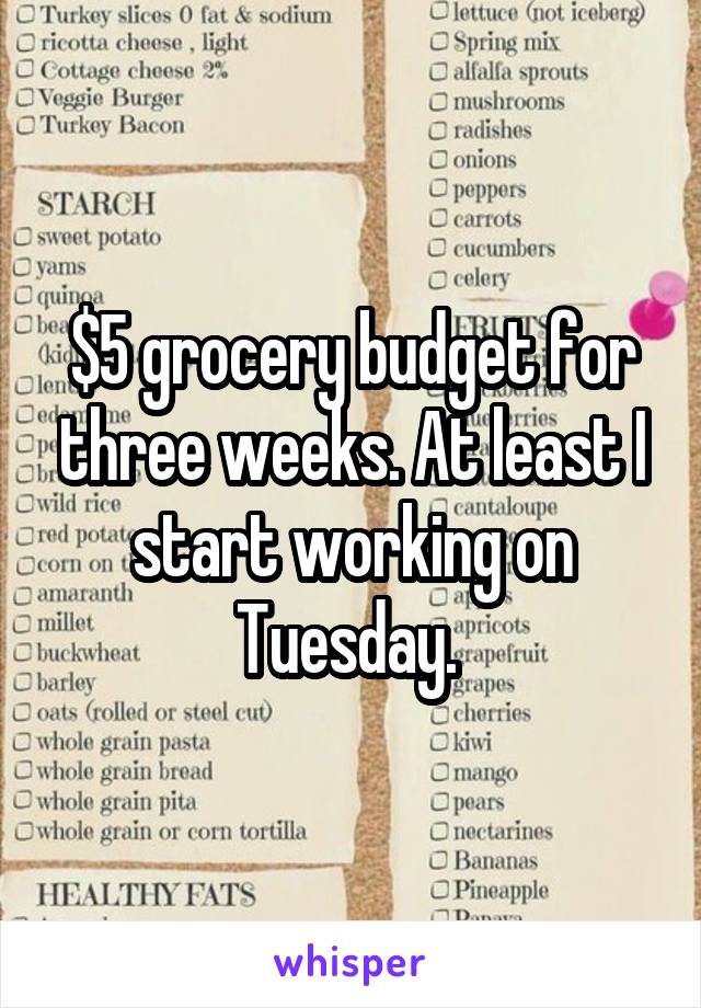 $5 grocery budget for three weeks. At least I start working on Tuesday. 