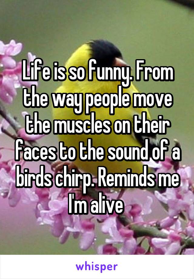 Life is so funny. From the way people move the muscles on their faces to the sound of a birds chirp. Reminds me I'm alive 