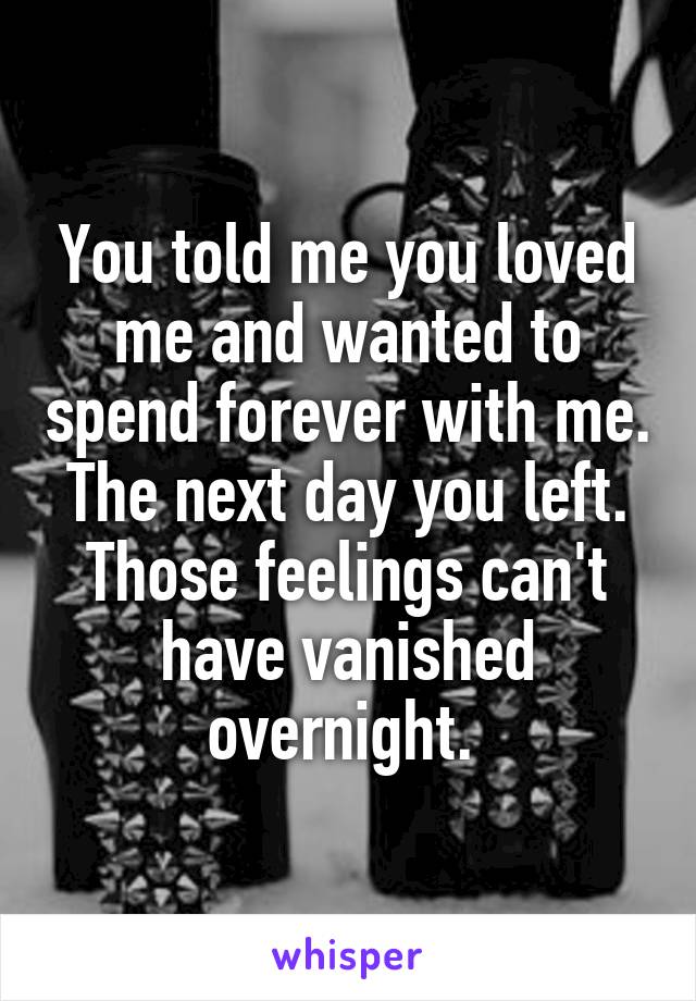 You told me you loved me and wanted to spend forever with me. The next day you left. Those feelings can't have vanished overnight. 