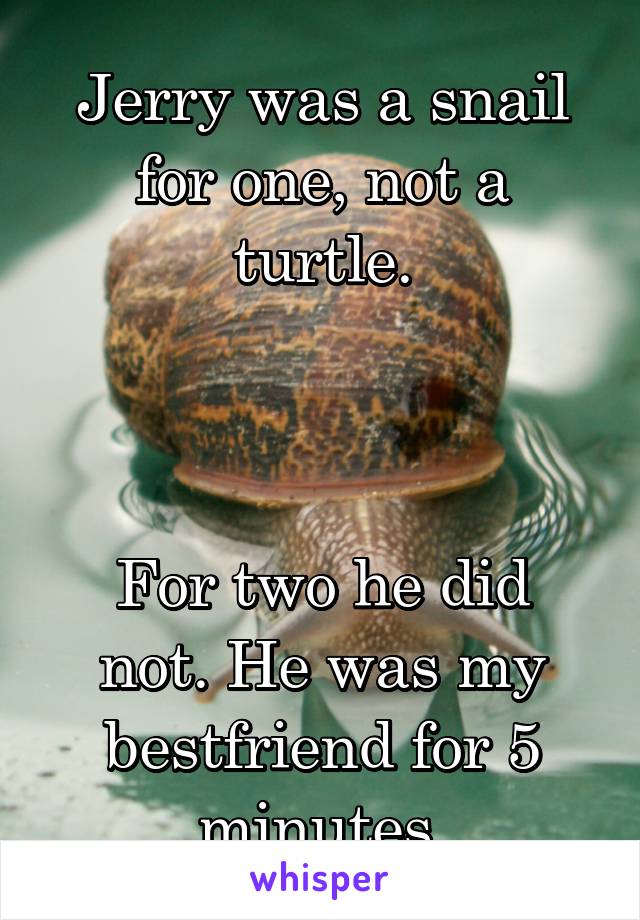 Jerry was a snail for one, not a turtle.



For two he did not. He was my bestfriend for 5 minutes.