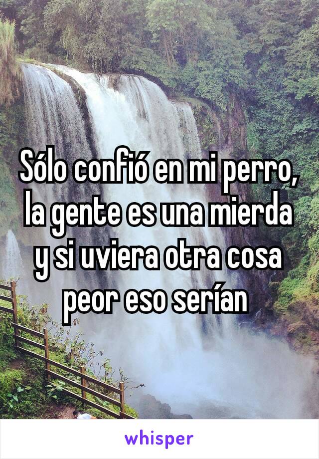 Sólo confió en mi perro, la gente es una mierda y si uviera otra cosa peor eso serían 