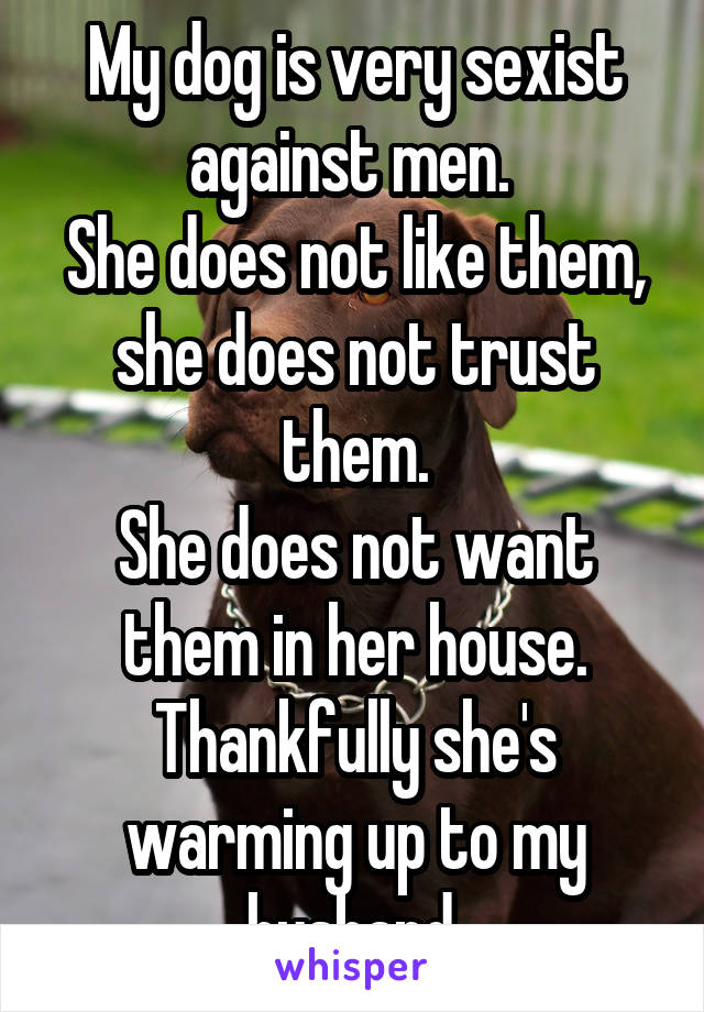 My dog is very sexist against men. 
She does not like them, she does not trust them.
She does not want them in her house.
Thankfully she's warming up to my husband.