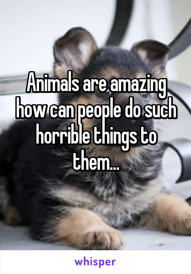 Animals are amazing how can people do such horrible things to them...
