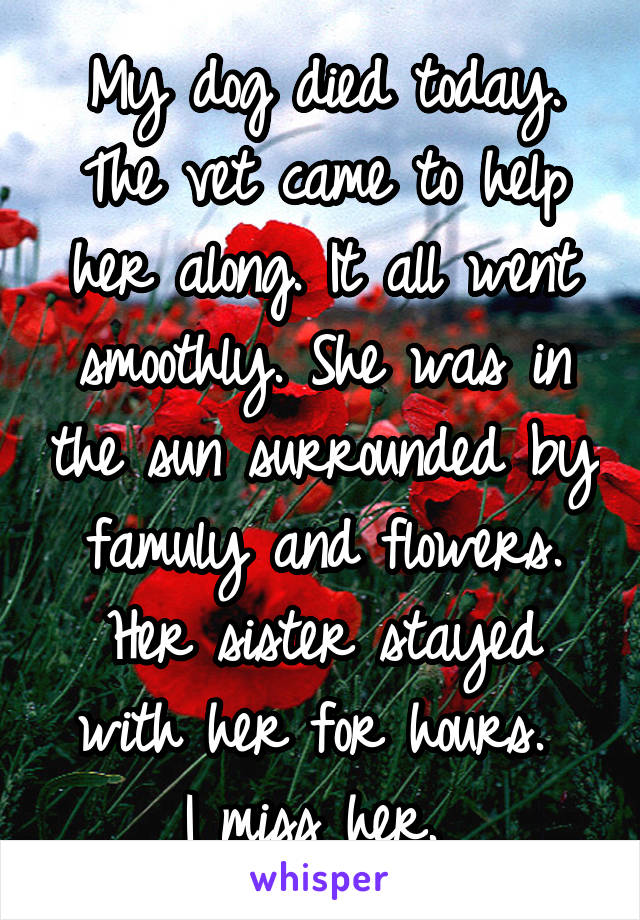 My dog died today. The vet came to help her along. It all went smoothly. She was in the sun surrounded by famuly and flowers. Her sister stayed with her for hours. 
I miss her. 