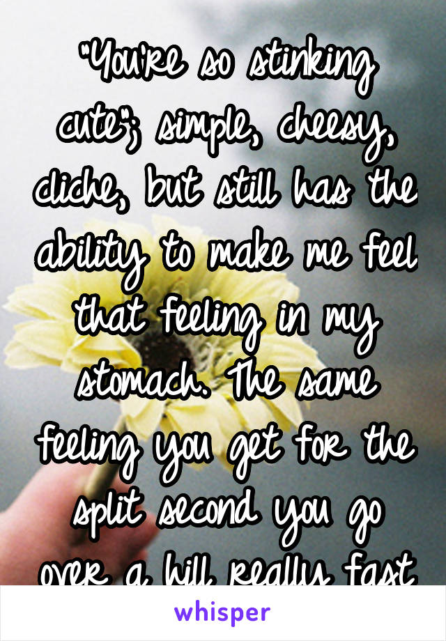 "You're so stinking cute"; simple, cheesy, cliche, but still has the ability to make me feel that feeling in my stomach. The same feeling you get for the split second you go over a hill really fast