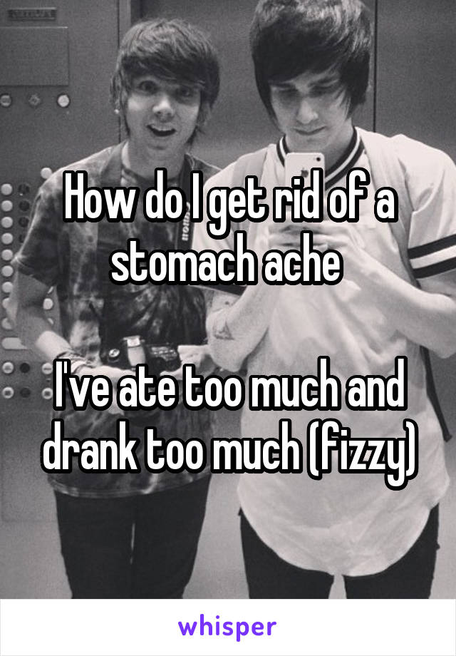 How do I get rid of a stomach ache 

I've ate too much and drank too much (fizzy)