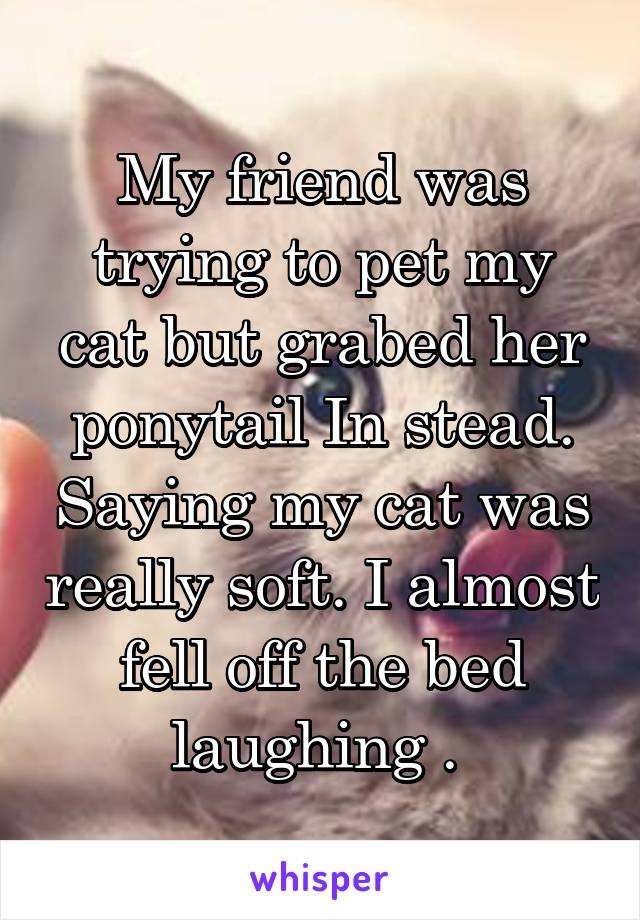 My friend was trying to pet my cat but grabed her ponytail In stead. Saying my cat was really soft. I almost fell off the bed laughing . 