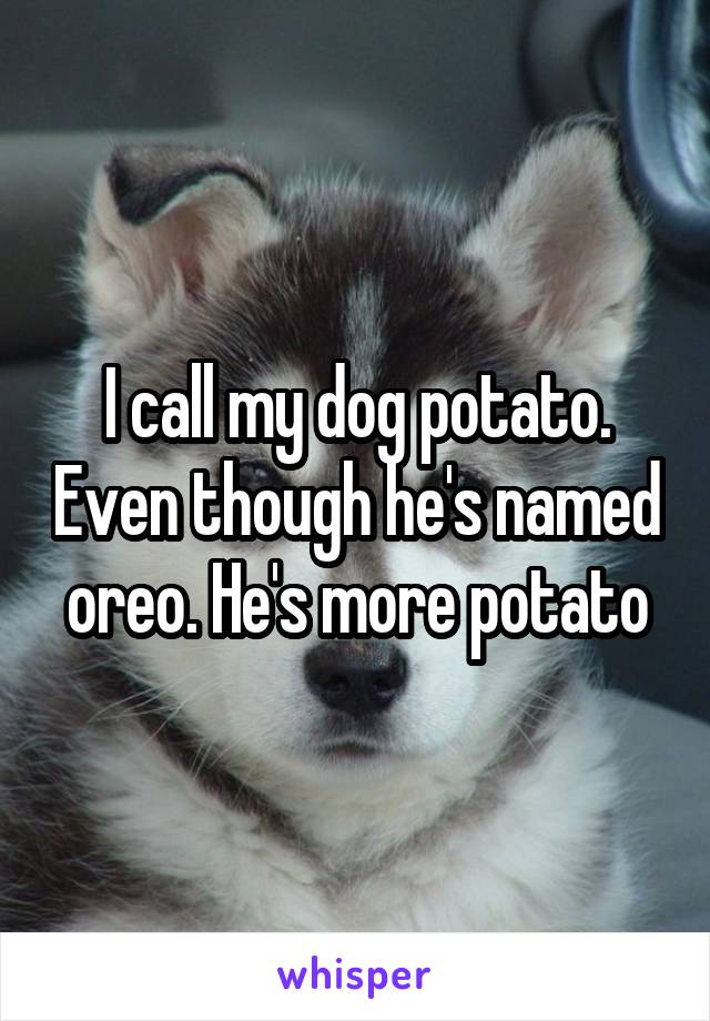 I call my dog potato. Even though he's named oreo. He's more potato