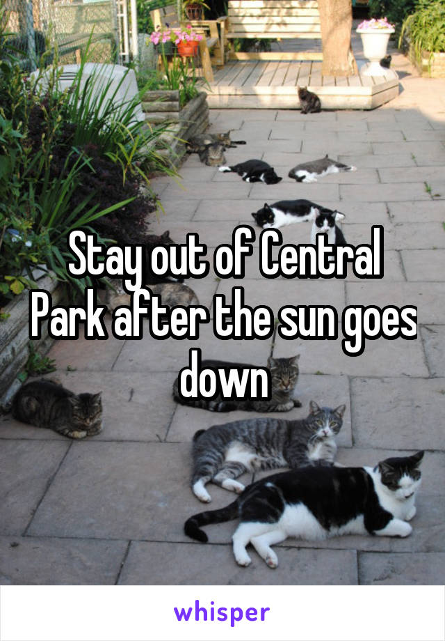 Stay out of Central Park after the sun goes down