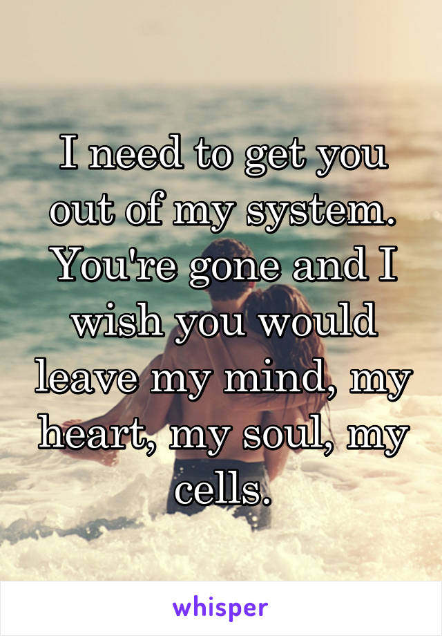 I need to get you out of my system. You're gone and I wish you would leave my mind, my heart, my soul, my cells.