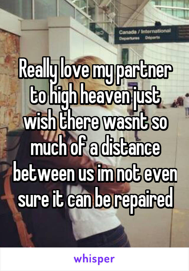 Really love my partner to high heaven just wish there wasnt so much of a distance between us im not even sure it can be repaired