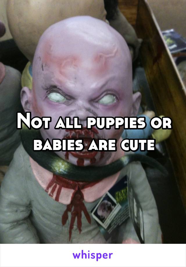 Not all puppies or babies are cute