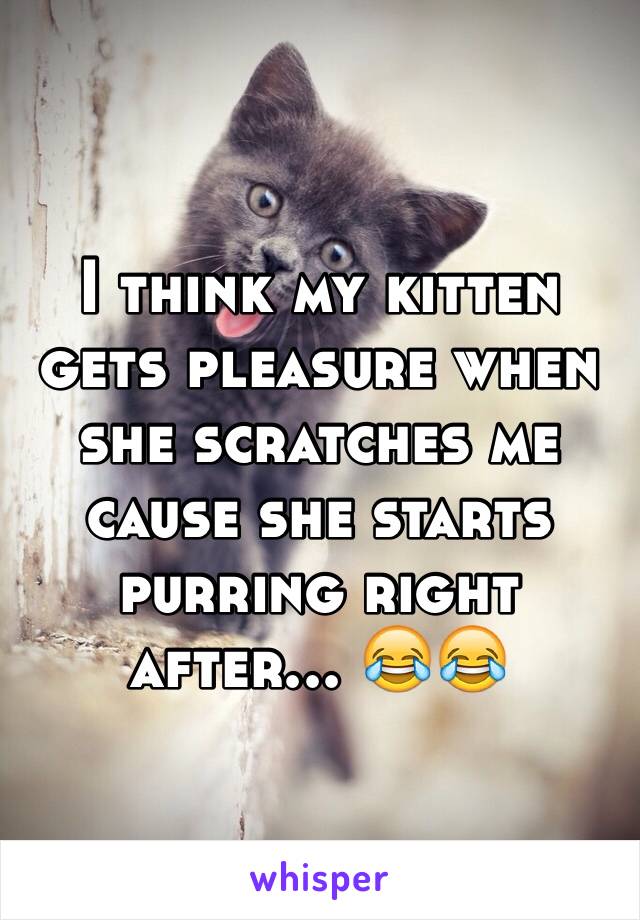 I think my kitten gets pleasure when she scratches me cause she starts purring right after... 😂😂