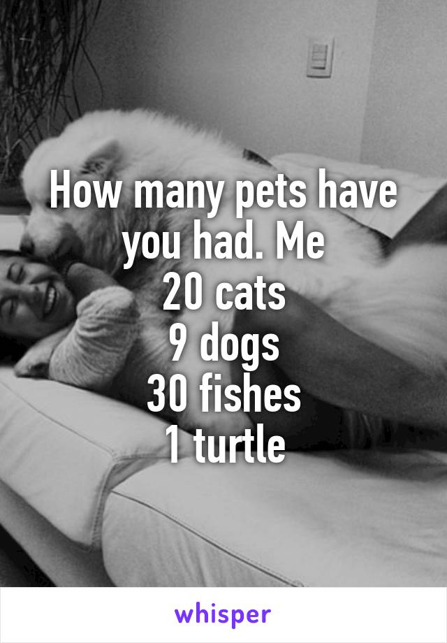 How many pets have you had. Me
20 cats
9 dogs
30 fishes
1 turtle