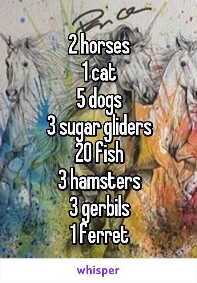 2 horses
1 cat
5 dogs
3 sugar gliders
20 fish
3 hamsters
3 gerbils
1 ferret