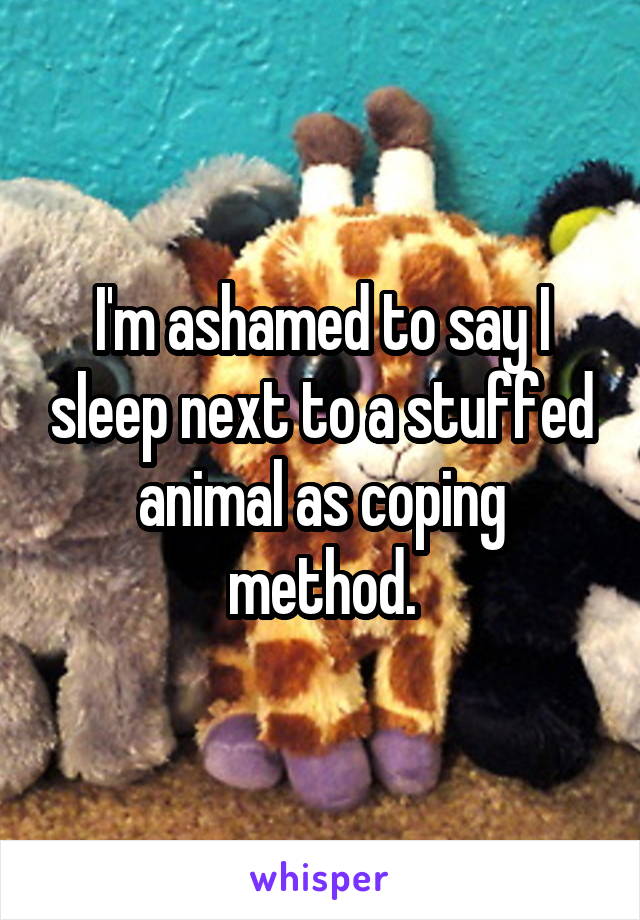 I'm ashamed to say I sleep next to a stuffed animal as coping method.