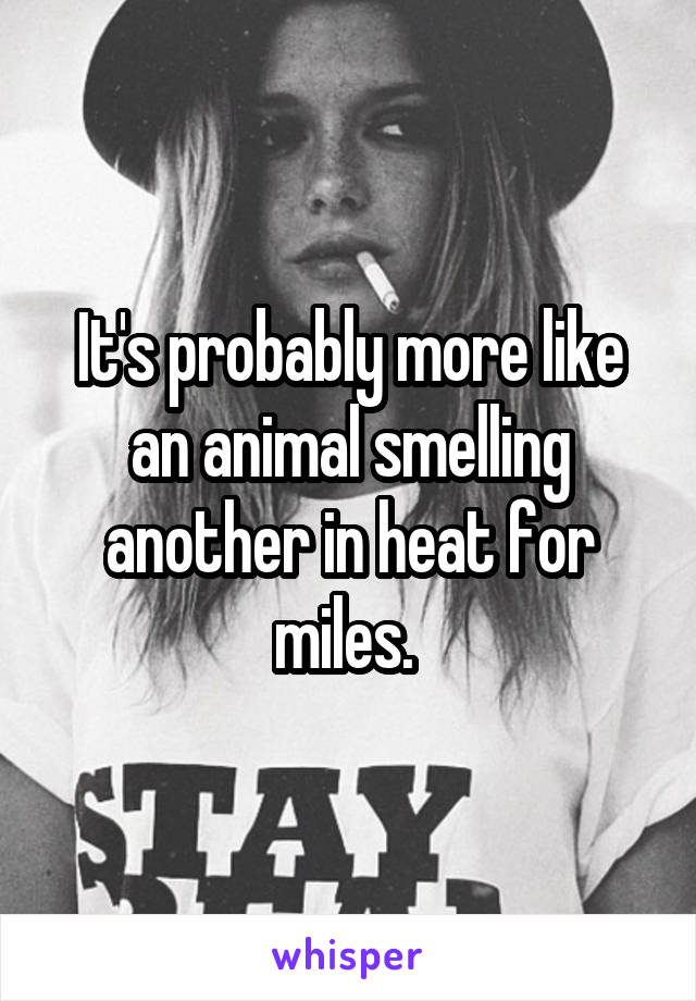 It's probably more like an animal smelling another in heat for miles. 