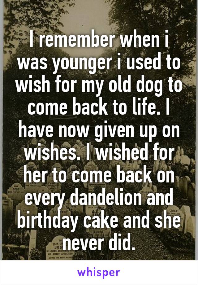 I remember when i was younger i used to wish for my old dog to come back to life. I have now given up on wishes. I wished for her to come back on every dandelion and birthday cake and she never did.