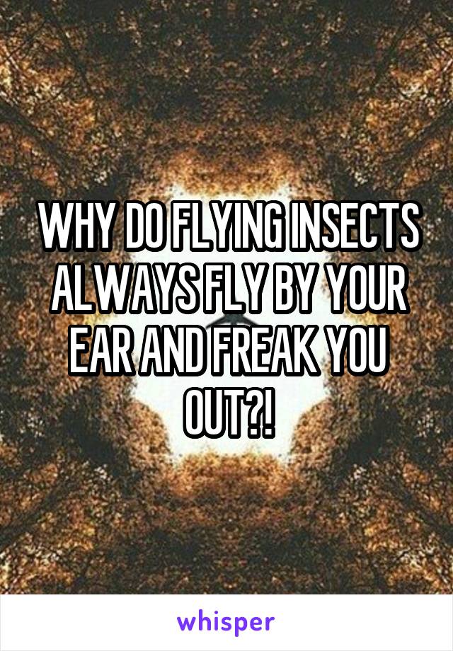 WHY DO FLYING INSECTS ALWAYS FLY BY YOUR EAR AND FREAK YOU OUT?!