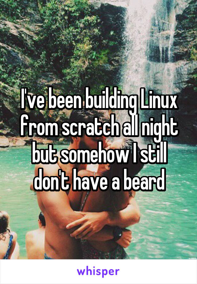 I've been building Linux from scratch all night but somehow I still don't have a beard