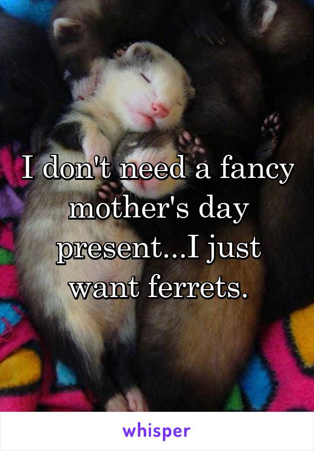 I don't need a fancy mother's day present...I just want ferrets.